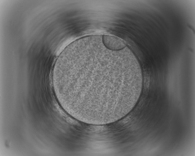 X0000103961382200810311604