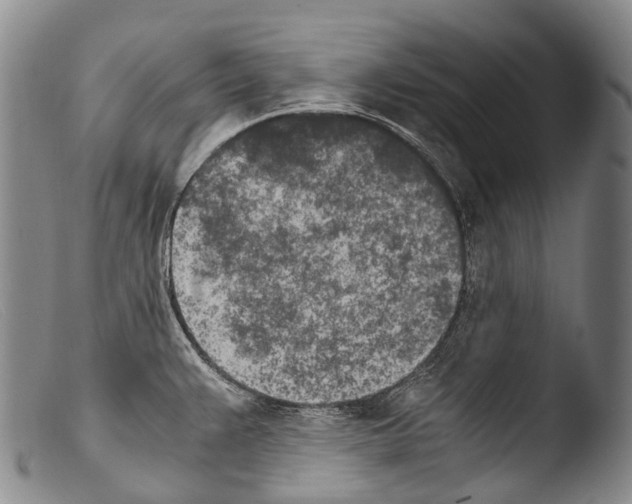 X0000103961383200810311604