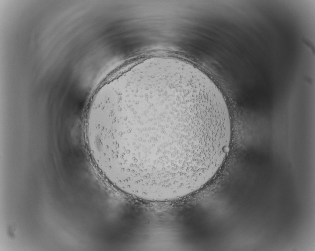 X0000103961384200810311604