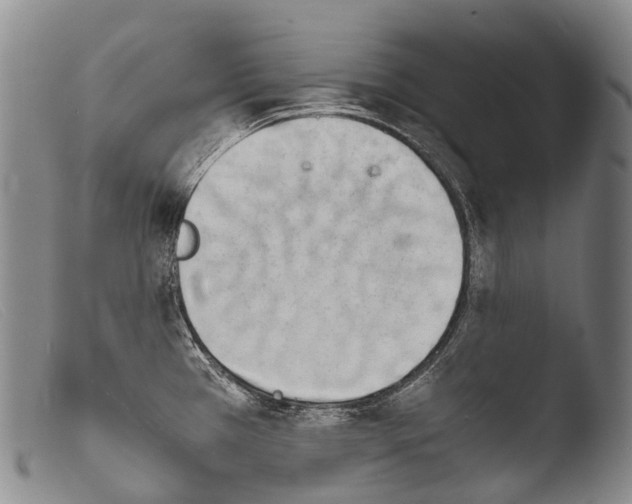 X0000103961385200810311604