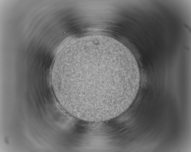 X0000103961386200810311604