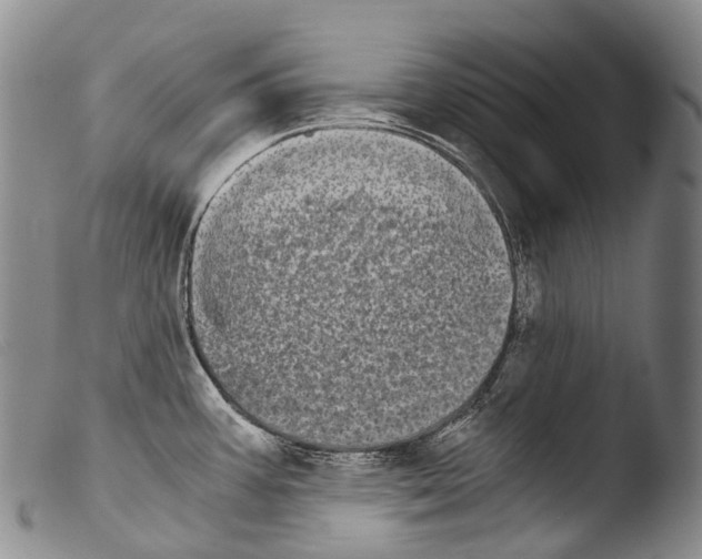 X0000103961387200810311604