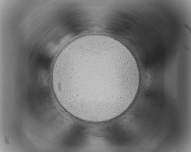 X0000103961388200810311604