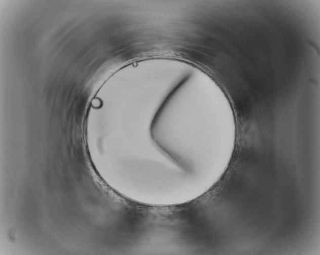 X0000103961389200810311604
