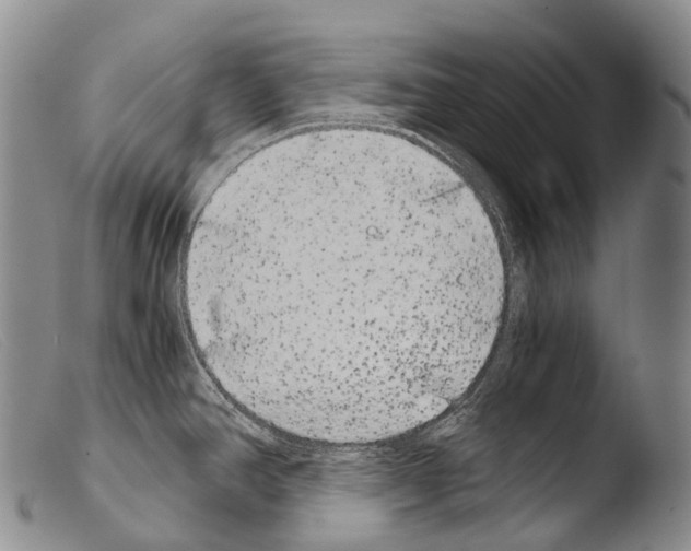 X0000103961390200810311604