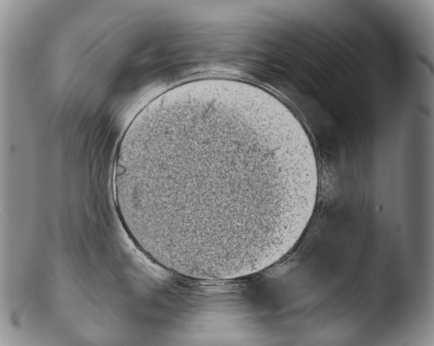 X0000103961391200810311604