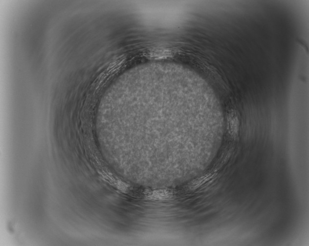 X0000103961393200810311603