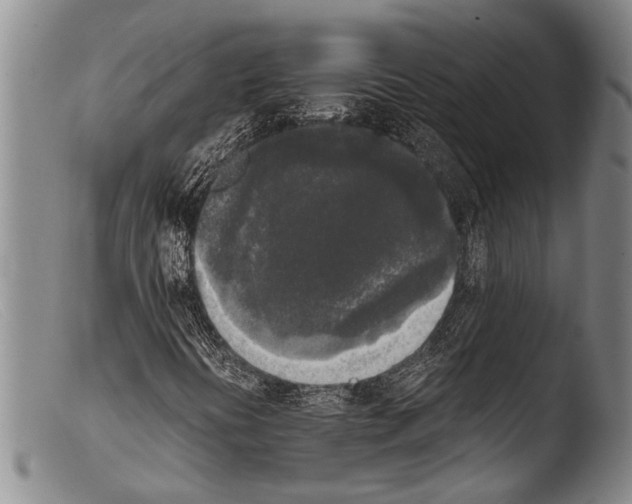 X0000103961394200810311603