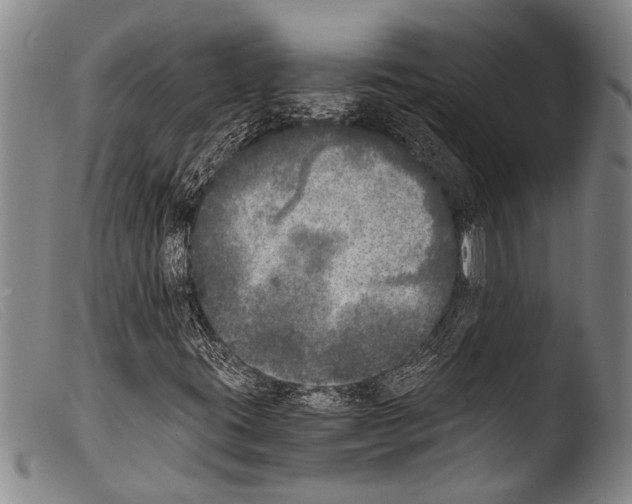X0000103961395200810311603