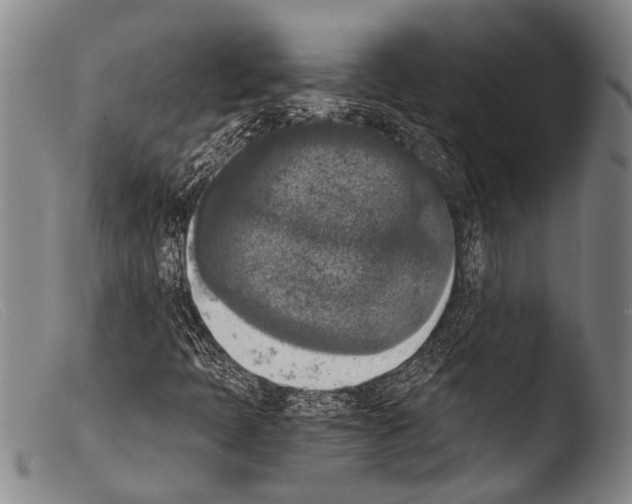 X0000103961397200810311603