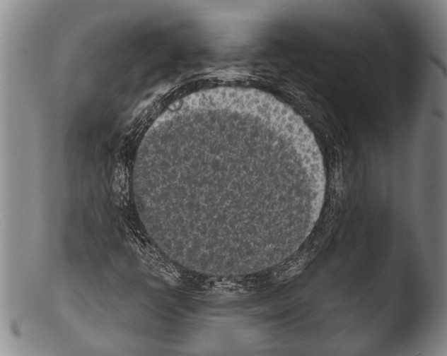 X0000103961398200810311603