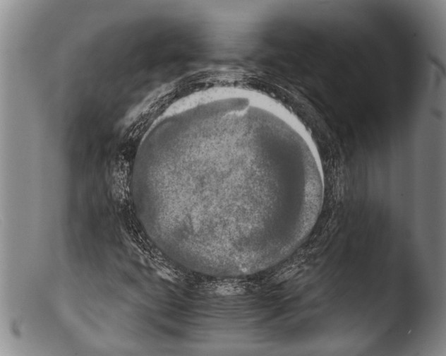 X0000103961399200810311603