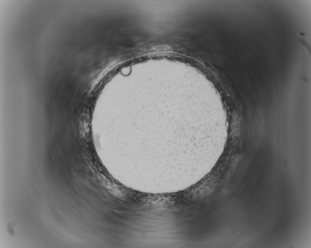 X0000103961400200810311603
