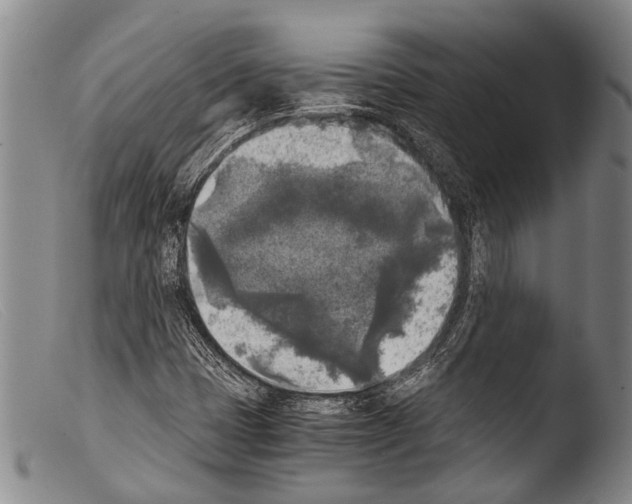 X0000103961401200810311603
