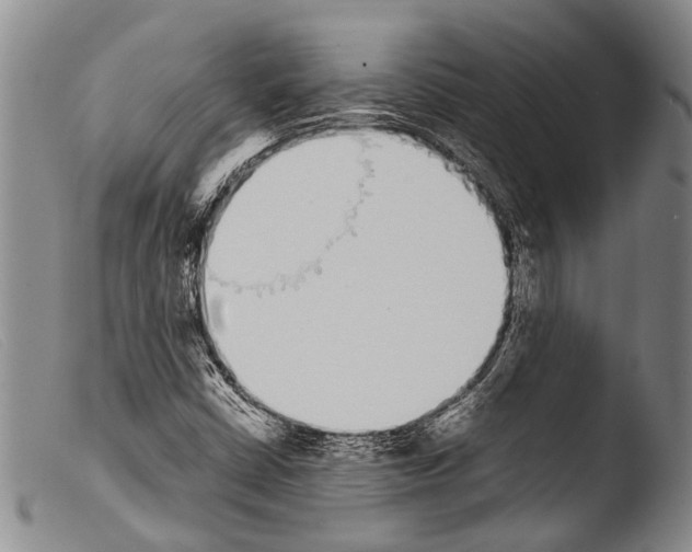 X0000103961402200810311603