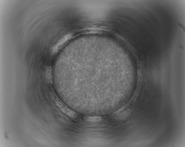 X0000103961403200810311603