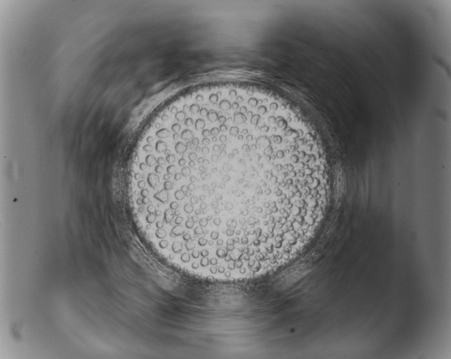 X0000103961404200810311603