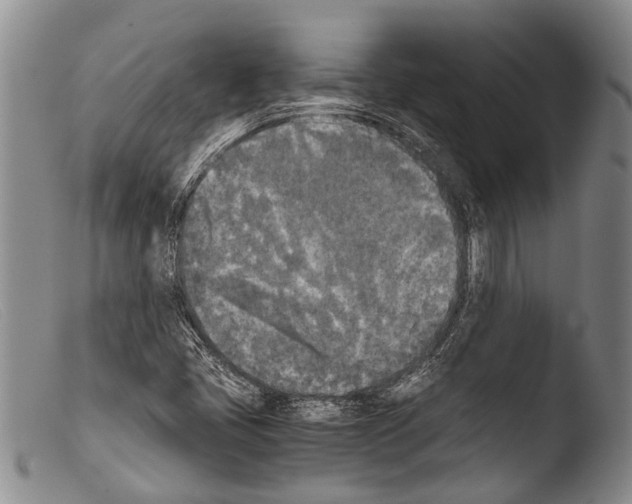 X0000103961405200810311603