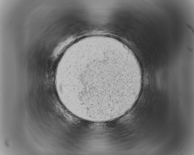 X0000103961406200810311603