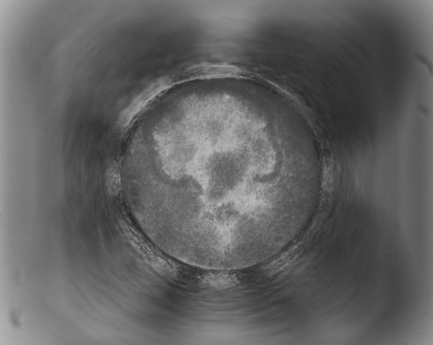 X0000103961407200810311603