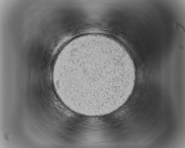 X0000103961408200810311603