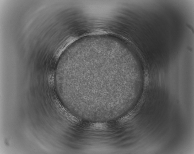 X0000103961409200810311603