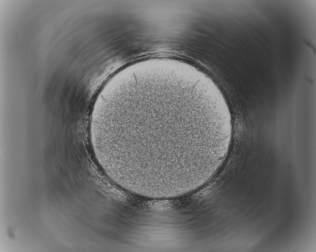 X0000103961410200810311603