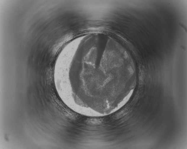 X0000103961411200810311603