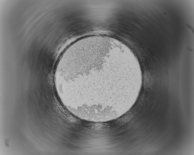 X0000103961412200810311603