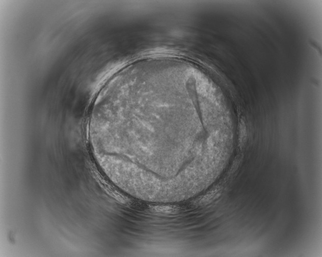 X0000103961413200810311603