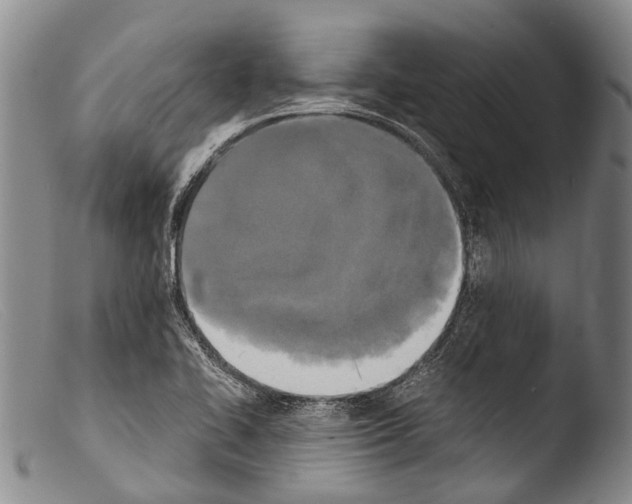 X0000103961414200810311603