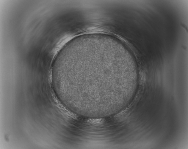 X0000103961415200810311603