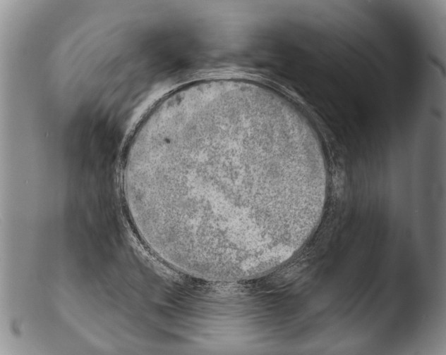 X0000103961416200810311603