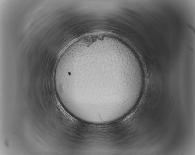 X0000103961417200810311603