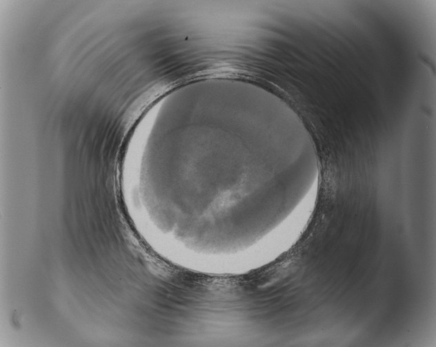 X0000103961418200810311603
