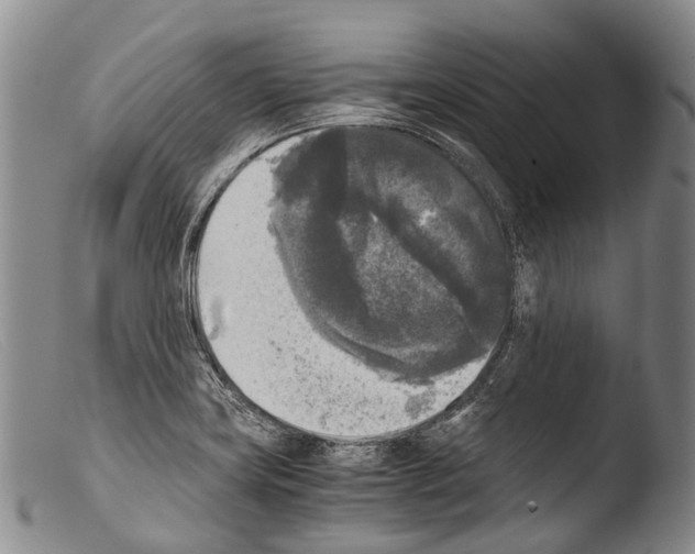X0000103961419200810311603