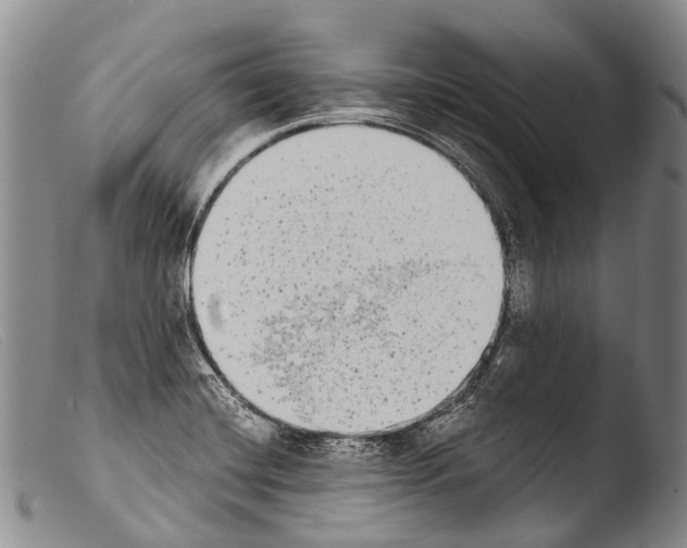 X0000103961420200810311603