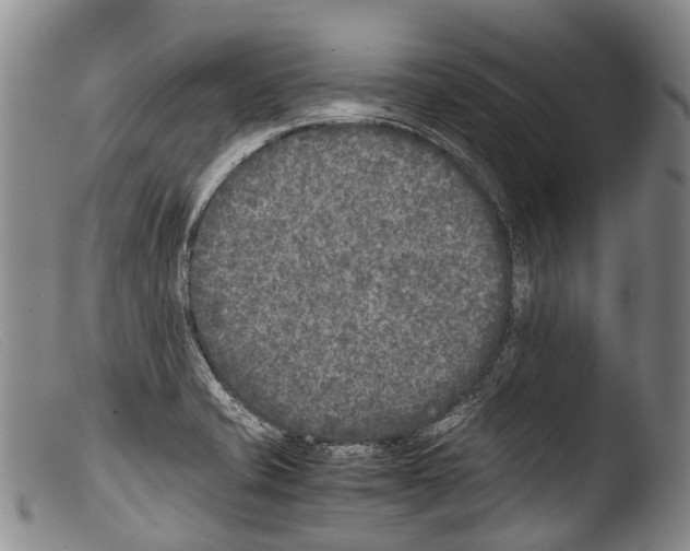 X0000103961421200810311603