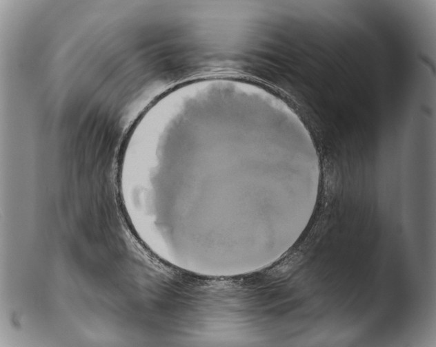 X0000103961422200810311603