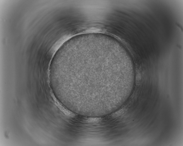 X0000103961423200810311603