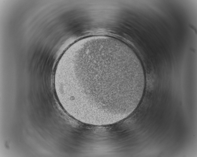 X0000103961424200810311603