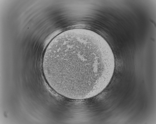 X0000103961426200810311603