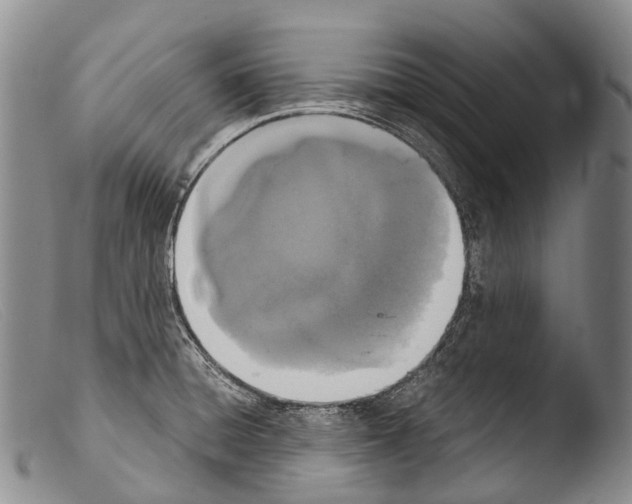 X0000103961428200810311603