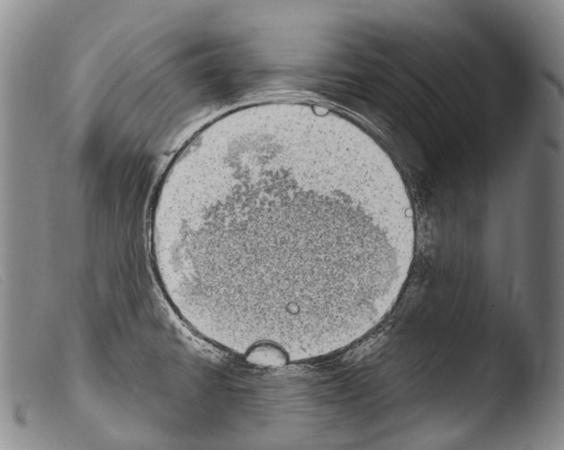 X0000103961430200810311603
