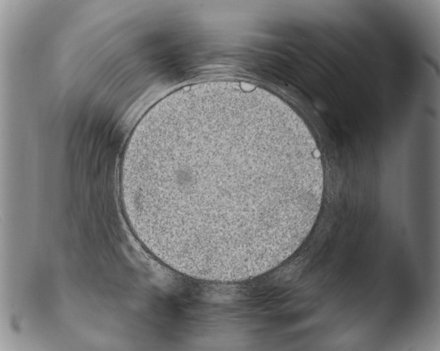 X0000103961431200810311603