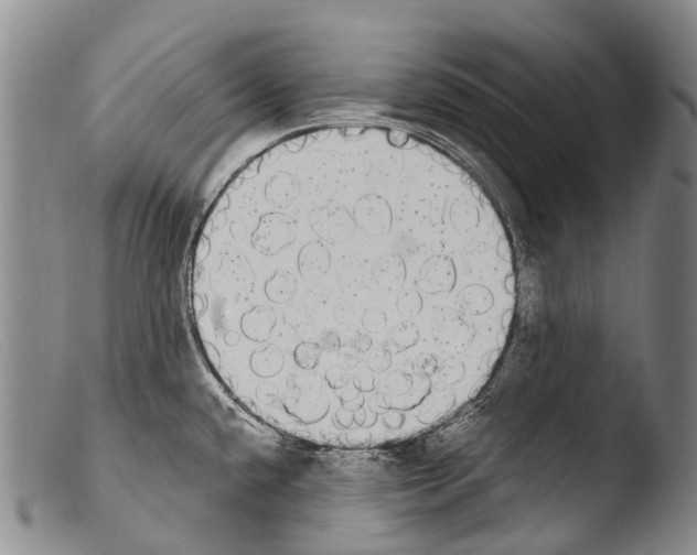 X0000103961432200810311603