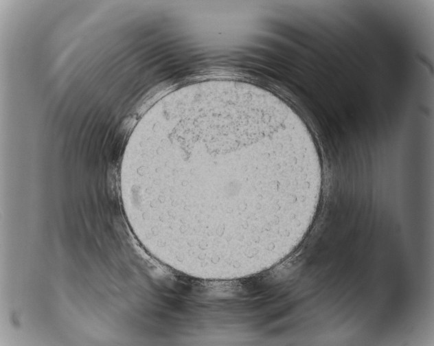 X0000103961433200810311603