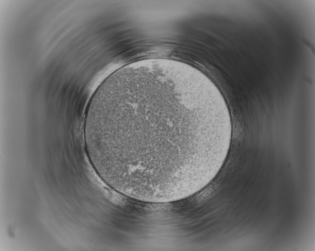 X0000103961434200810311603