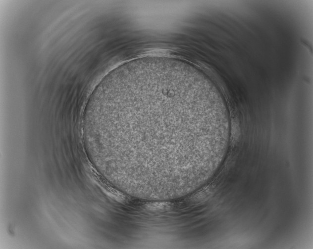 X0000103961435200810311603