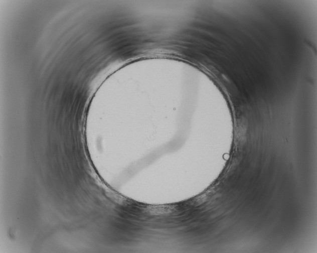 X0000103961437200810311603